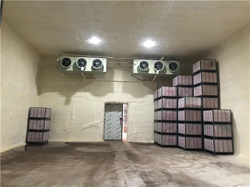 拼搏网页版页面苹果冷库安装案例