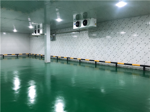 拼搏网页版页面蔬菜保鲜库